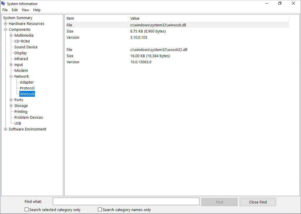 Msinfo32 WinSock Settings